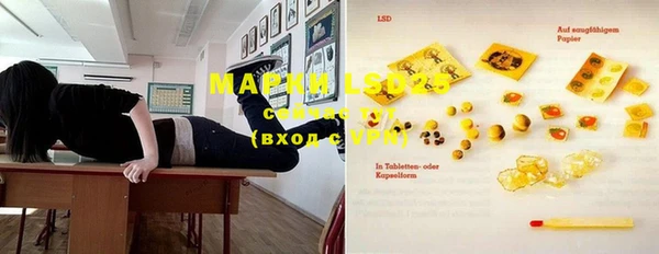 ПСИЛОЦИБИНОВЫЕ ГРИБЫ Баксан